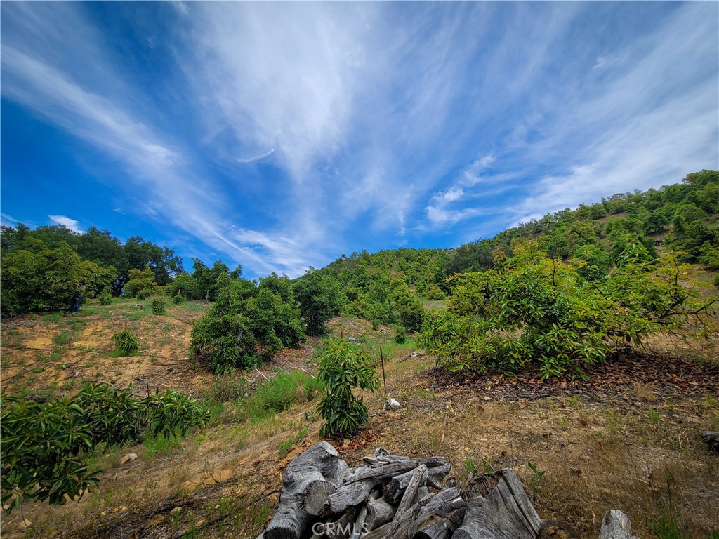 5 Via Vaquero Property Photo 32