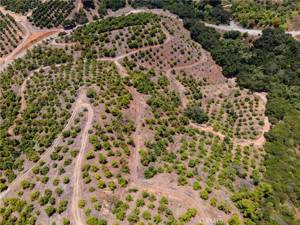 5 Via Vaquero Property Photo 35