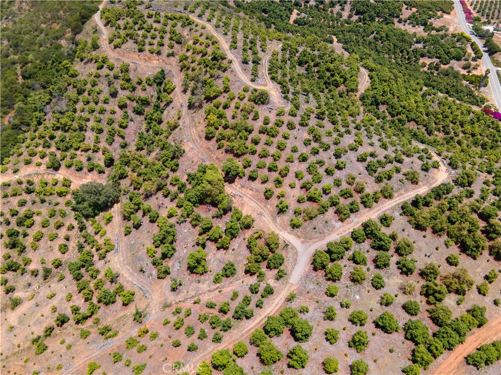 5 Via Vaquero Property Photo 37