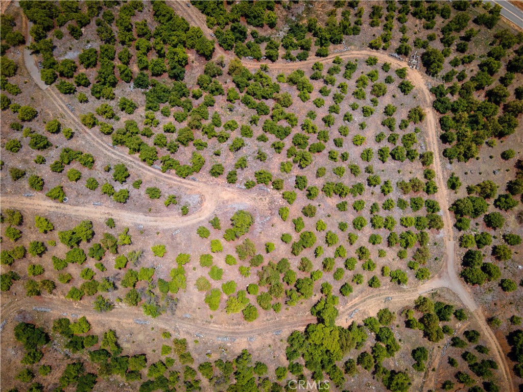 5 Via Vaquero Property Photo 41