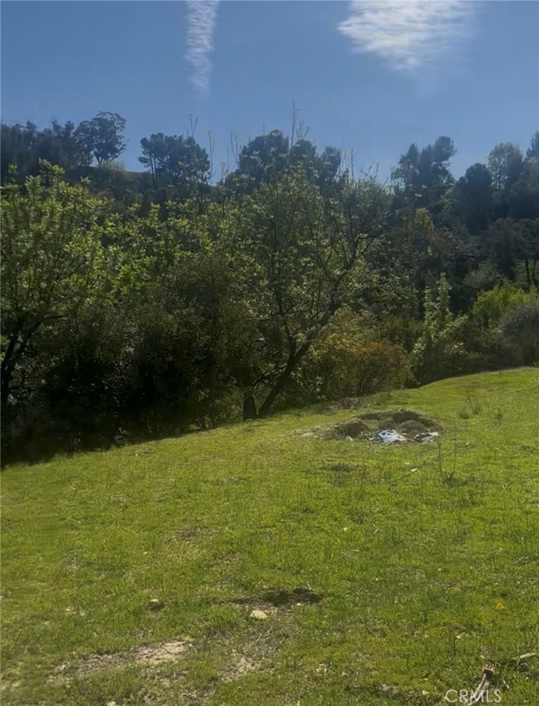 4551 Lindley Ave Property Photo 3