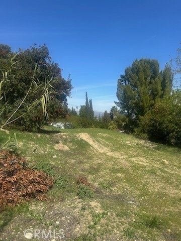 4551 Lindley Ave Property Photo 4