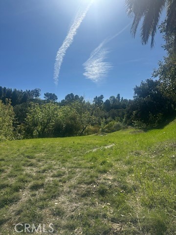 4551 Lindley Ave Property Photo 9