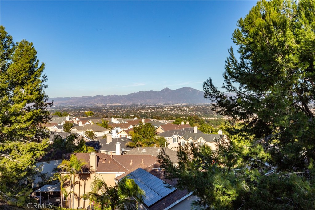 137 La Mirage Circle Property Photo 17