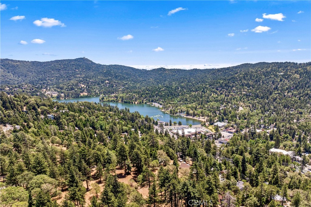 423 Thousand Pines Road Property Photo 39