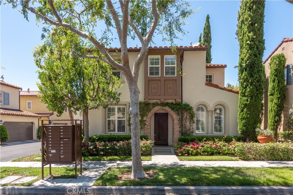 23 Bower Tree