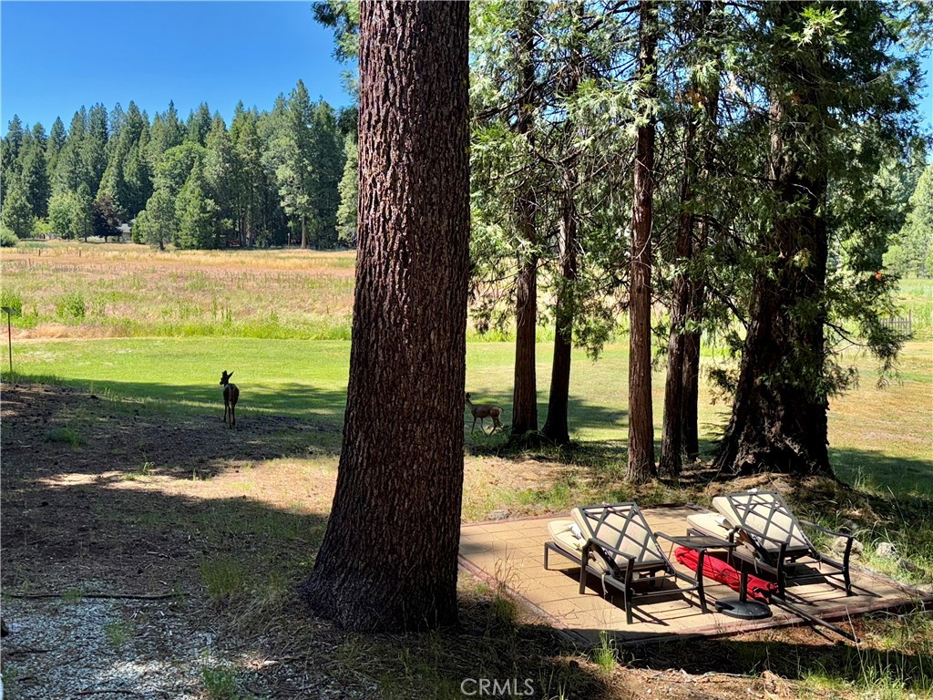 9312 Mountain Meadow Road Property Photo 39