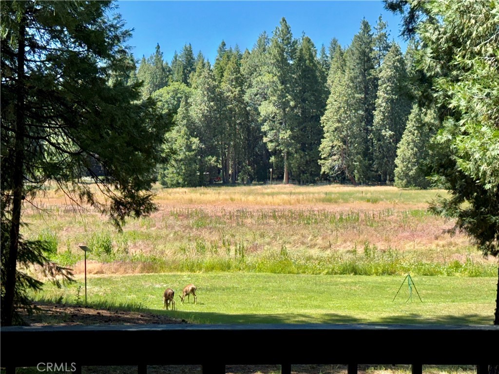 9312 Mountain Meadow Road Property Photo 41