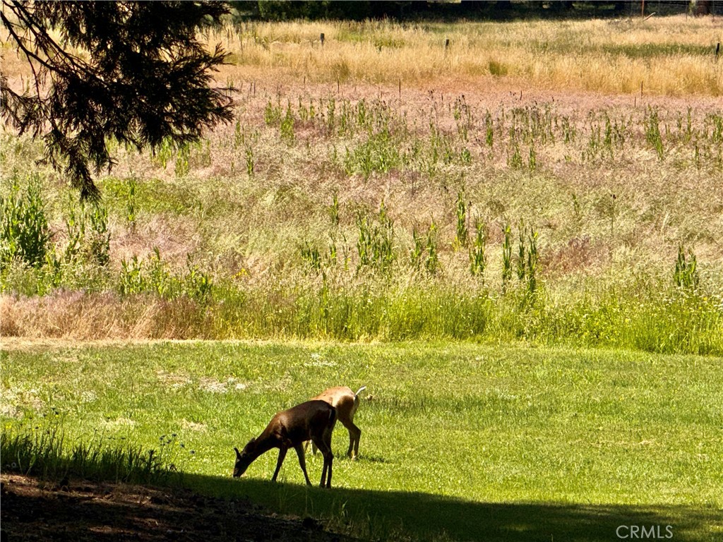 9312 Mountain Meadow Road Property Photo 42