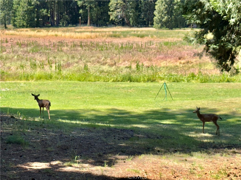 9312 Mountain Meadow Road Property Photo 43