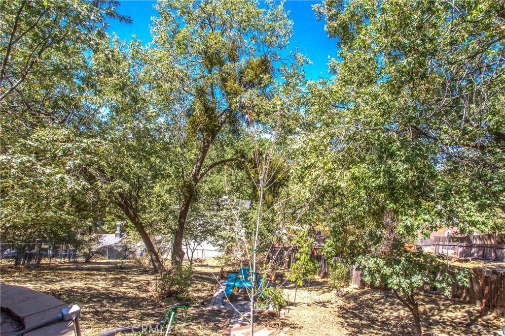 30421 Live Oak Drive Property Photo 32
