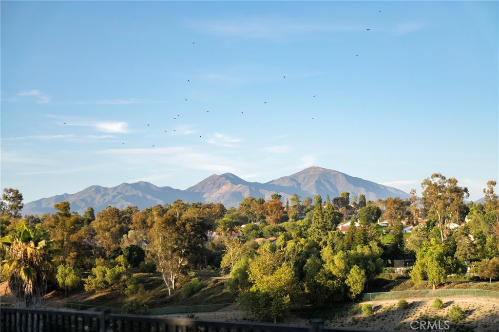 24362 Via Santa Clara Property Photo 36
