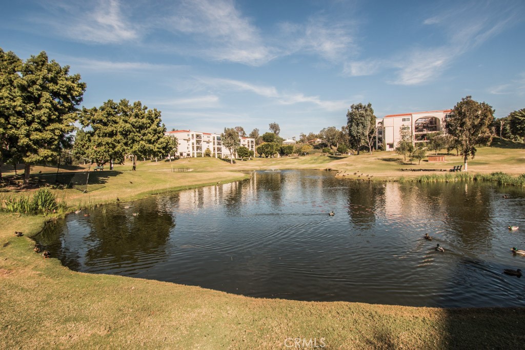 3304 Via Carrizo O Property Photo 44