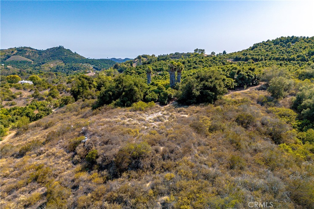 0 Carancho Property Photo 18
