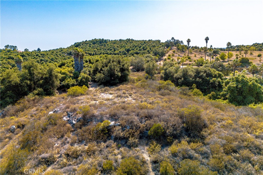 0 Carancho Property Photo 19
