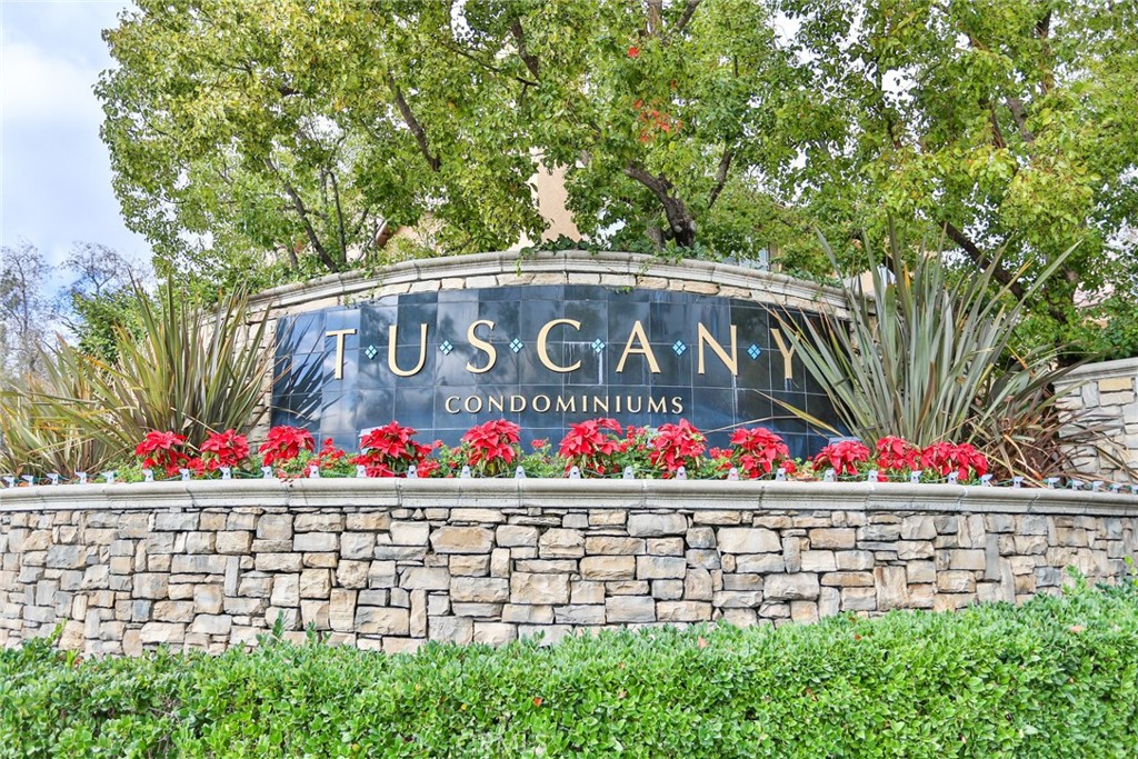 19431 Rue De Valore 35m Property Photo 31