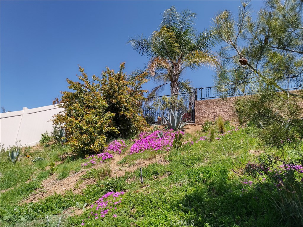 11811 Cramer Road Property Photo 27