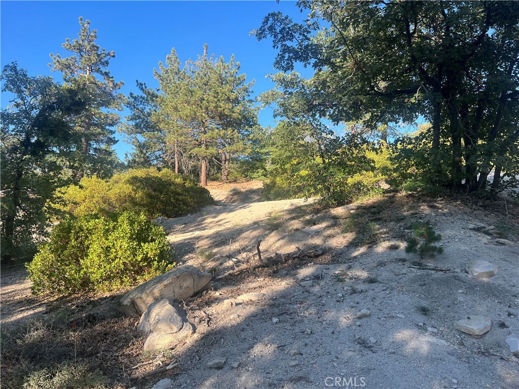 0 Deer Lick Drive Property Photo 1