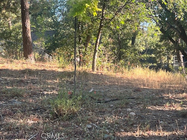 0 Hardy Property Photo 1