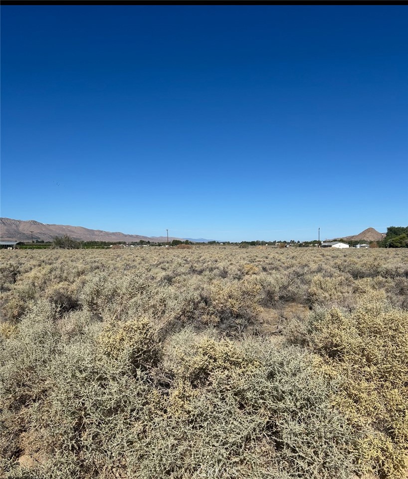0 Mesquite Springs Property Photo 1
