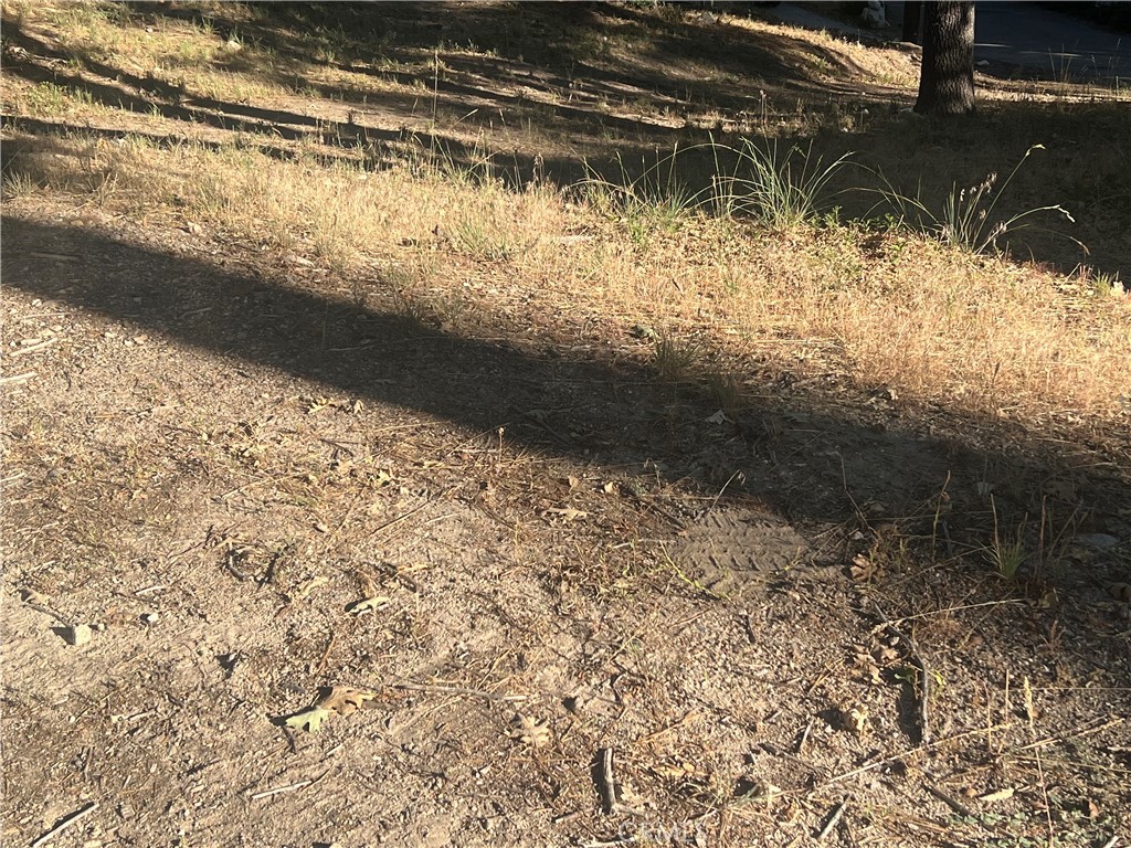 0 Arrowbear Drive Property Photo 1