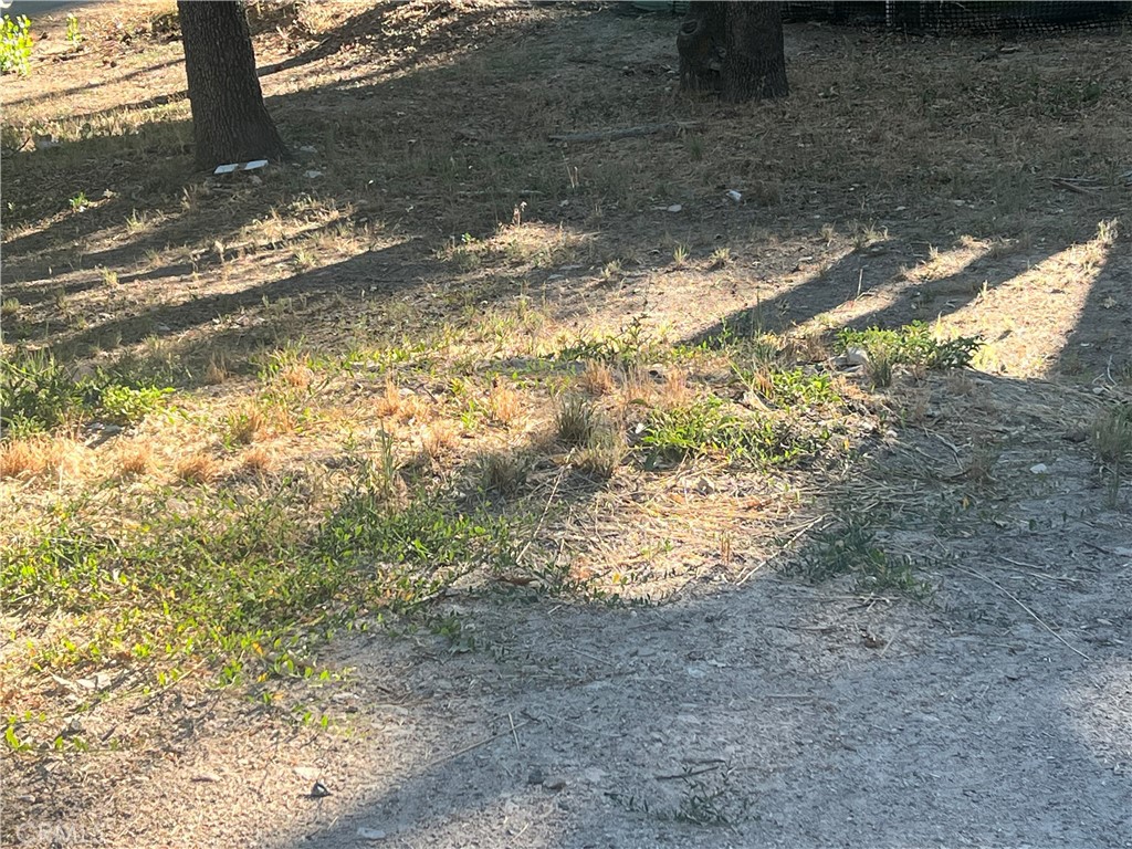 0 Tank Road Property Photo 1
