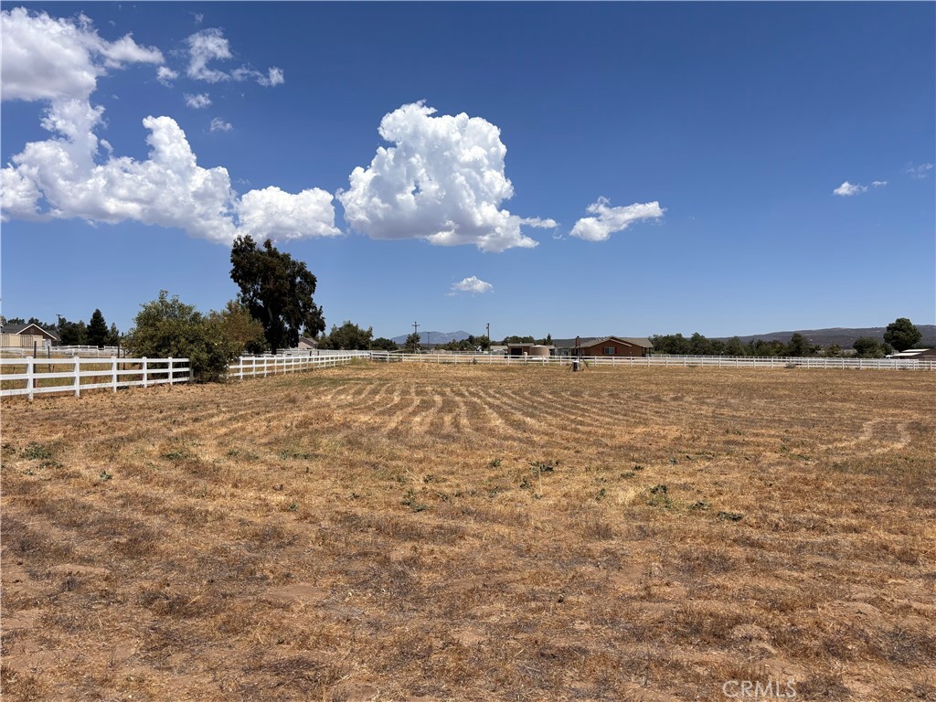 196 Forest Springs Property Photo 11