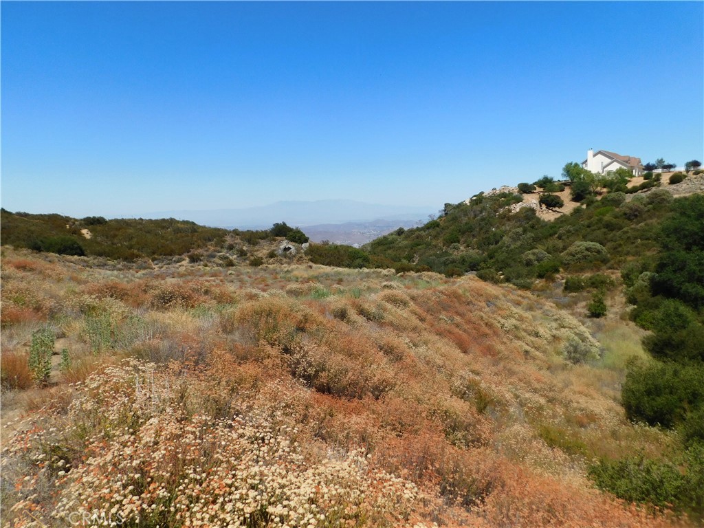 34550 S. Main Divide Property Photo 6