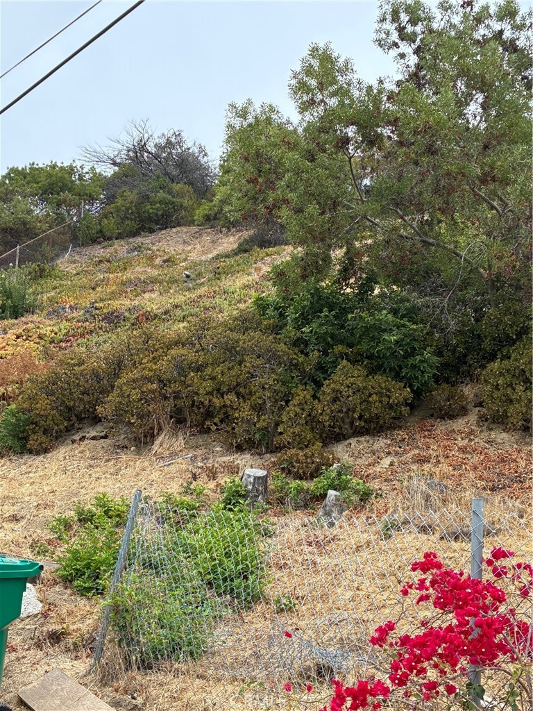 116 N Barnwell Street Property Photo 4