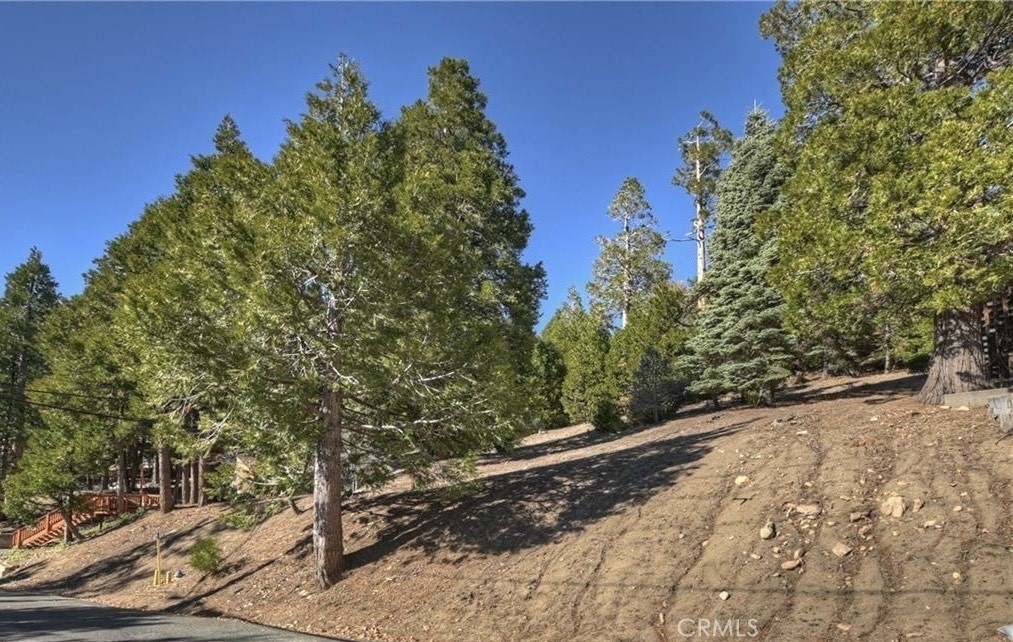 2402 Spring Oak Drive Property Photo 4