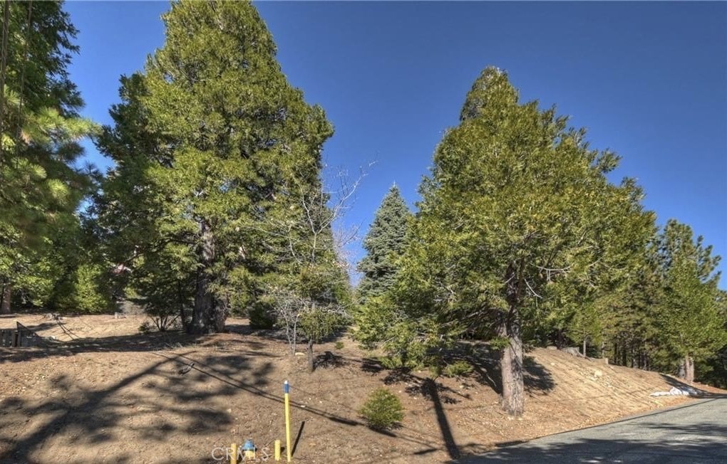 2402 Spring Oak Drive Property Photo 8