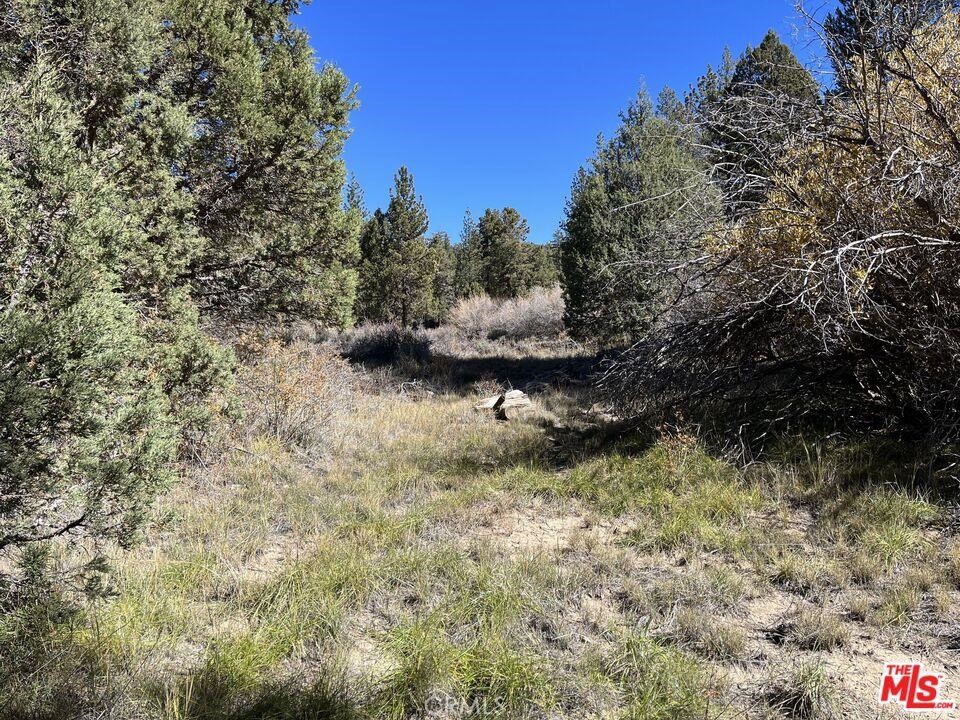 0 Highway 38 Property Photo 3