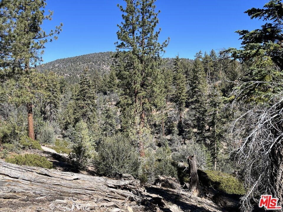 0 Highway 38 Property Photo 4