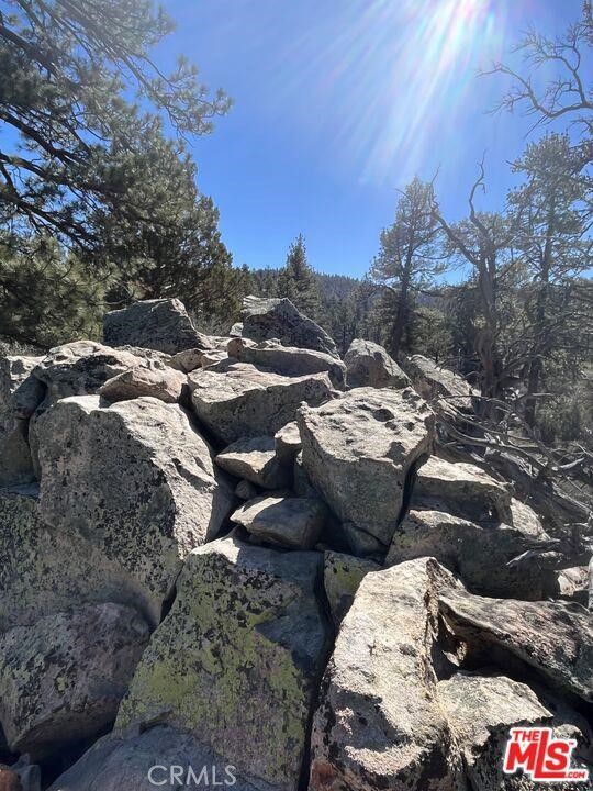 0 Highway 38 Property Photo 5