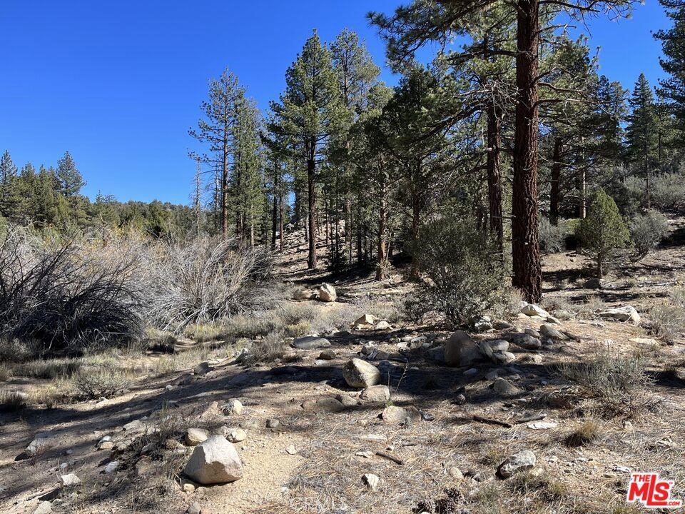 0 Highway 38 Property Photo 6