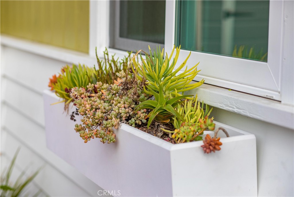 33751 Copper Lantern Street Property Photo 27