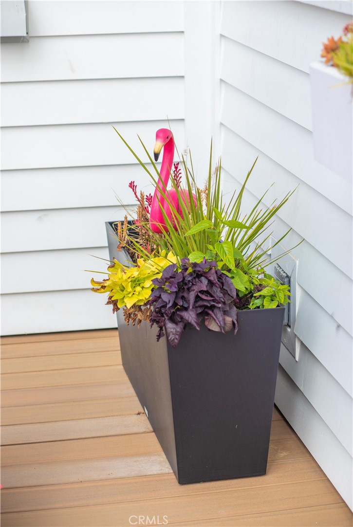 33751 Copper Lantern Street Property Photo 28