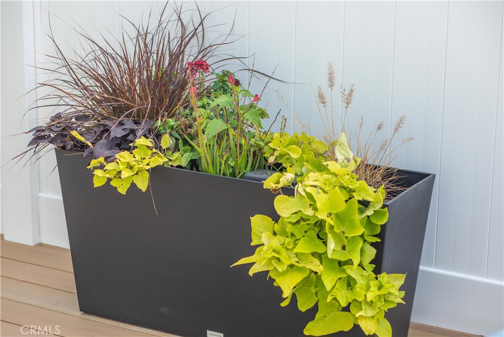 33751 Copper Lantern Street Property Photo 29