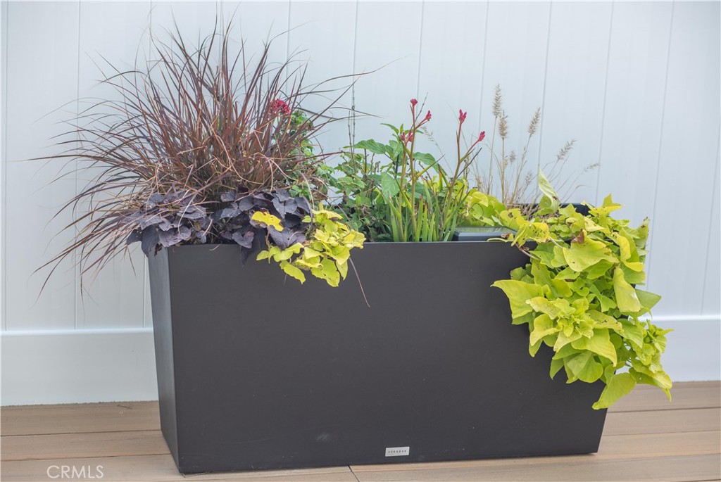 33751 Copper Lantern Street Property Photo 32