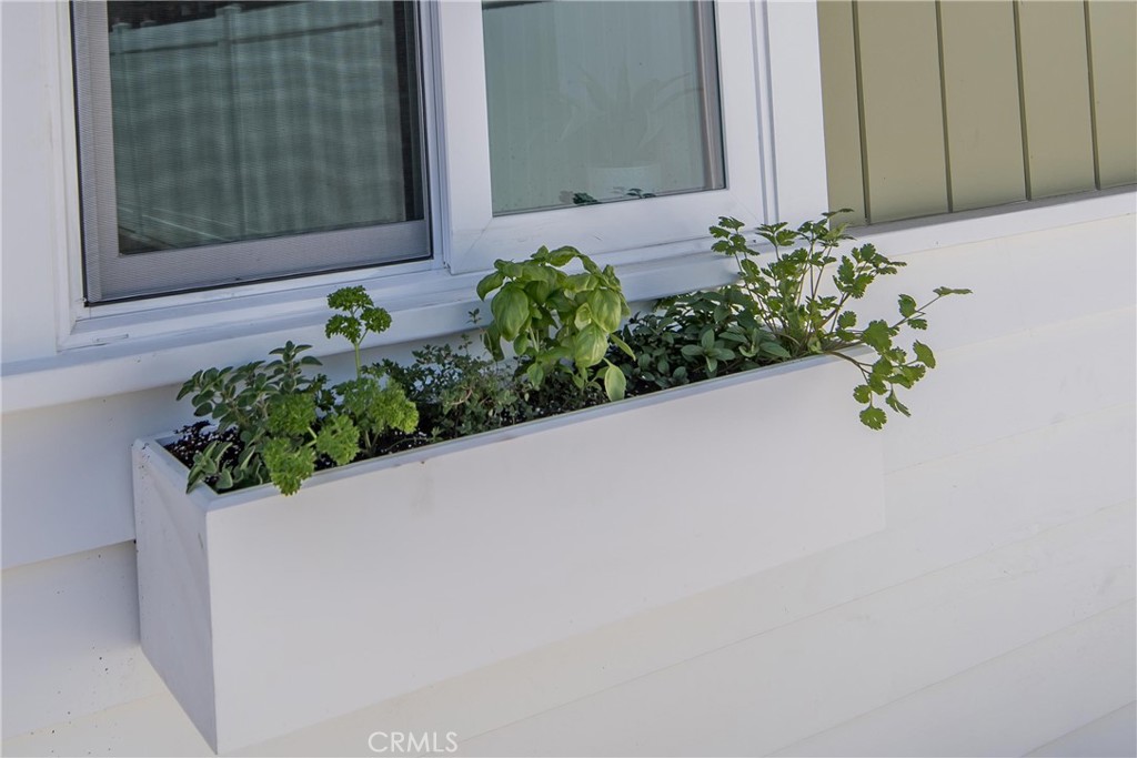 33751 Copper Lantern Street Property Photo 33