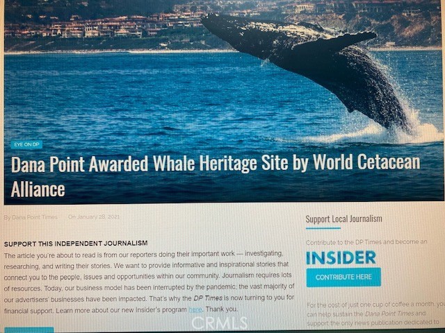 33751 Copper Lantern Street Property Photo 35