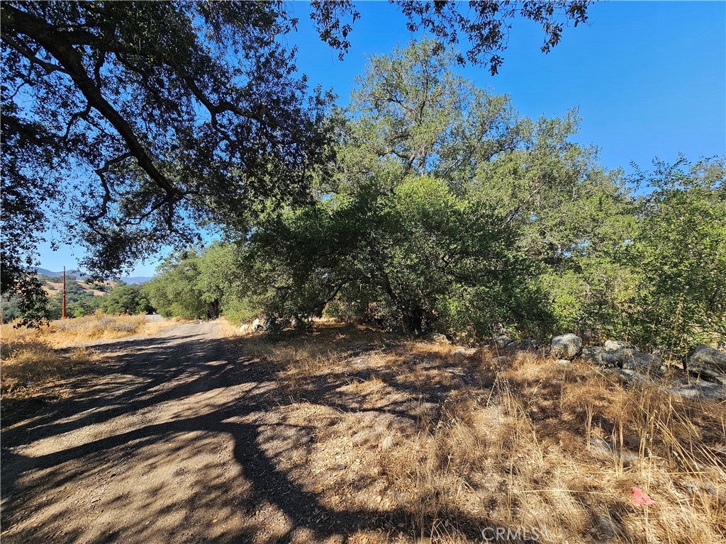 0 Highway 76 Property Photo 1