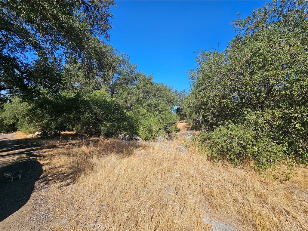 0 Highway 76 Property Photo 2