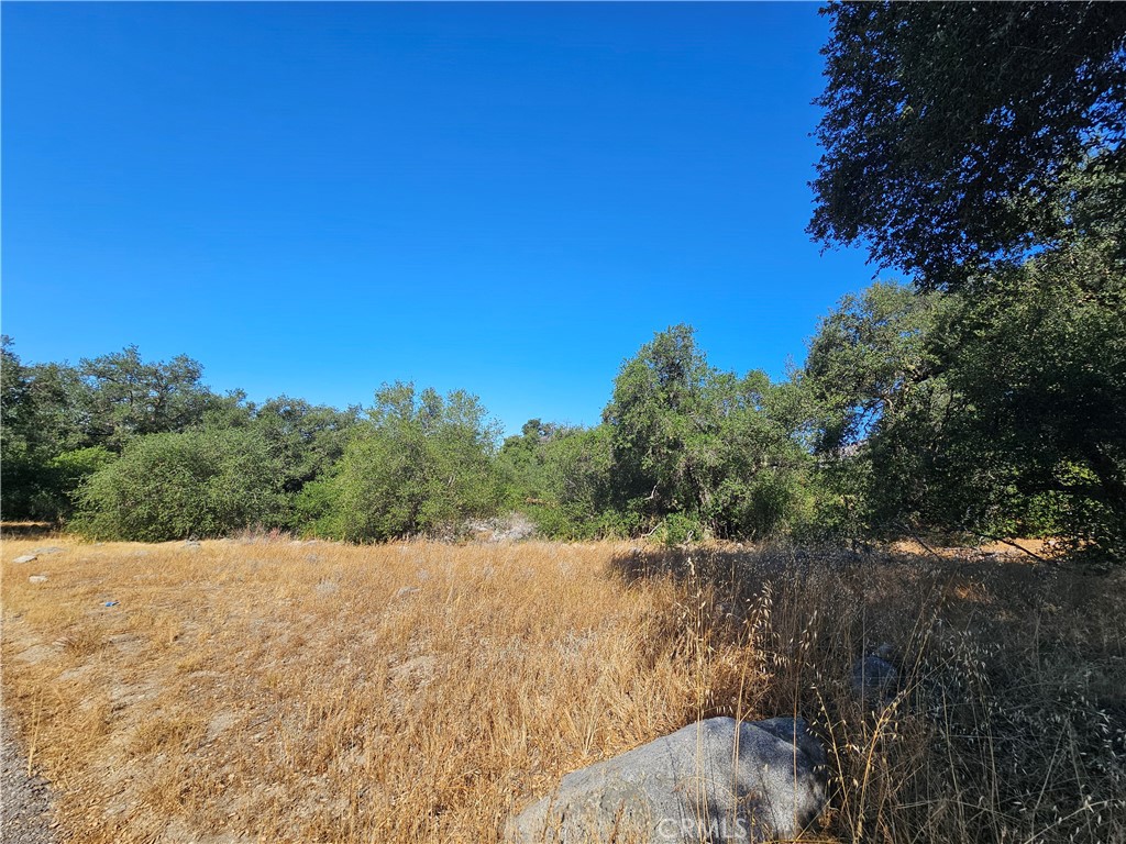 0 Highway 76 Property Photo 3