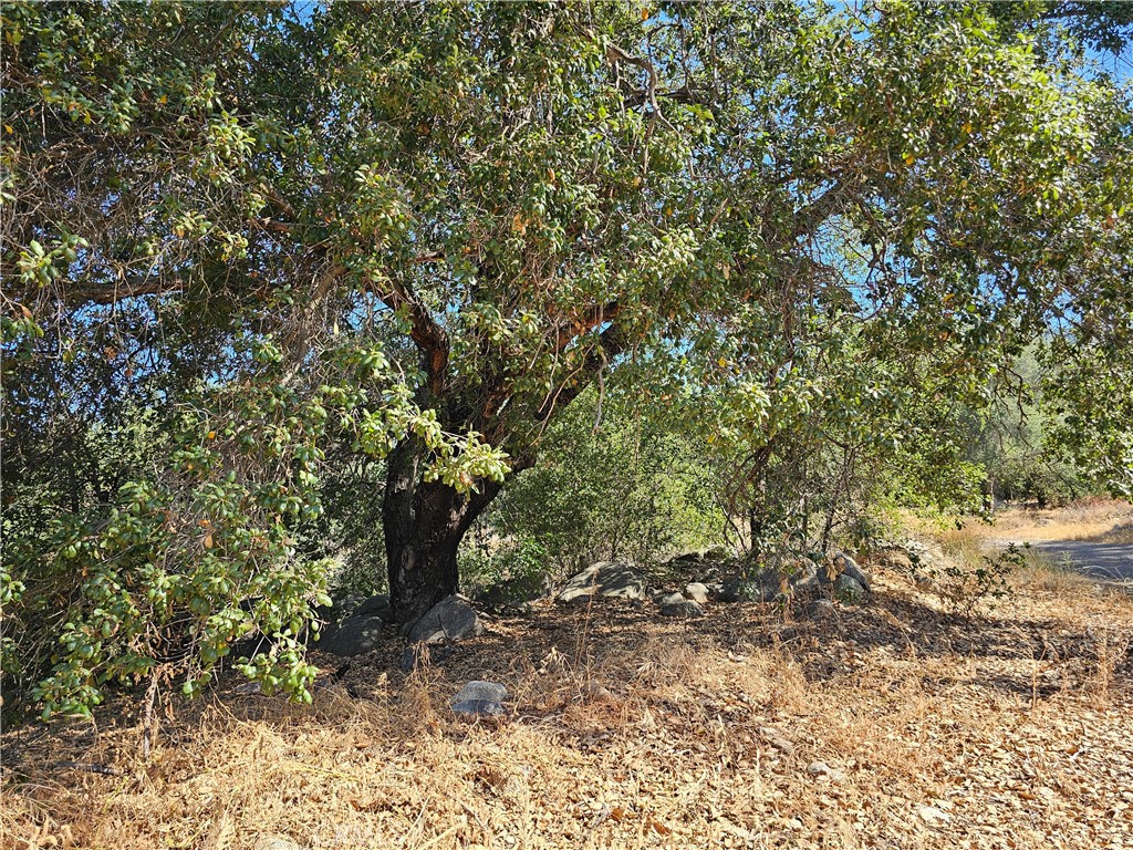 0 Highway 76 Property Photo 4