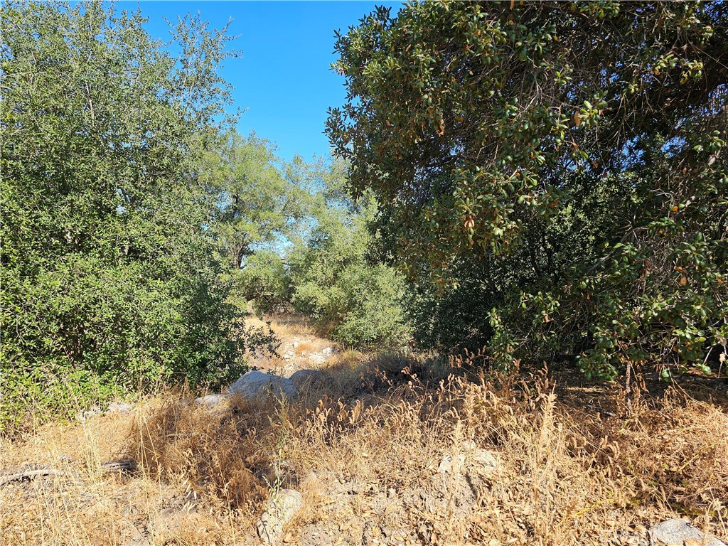 0 Highway 76 Property Photo 5