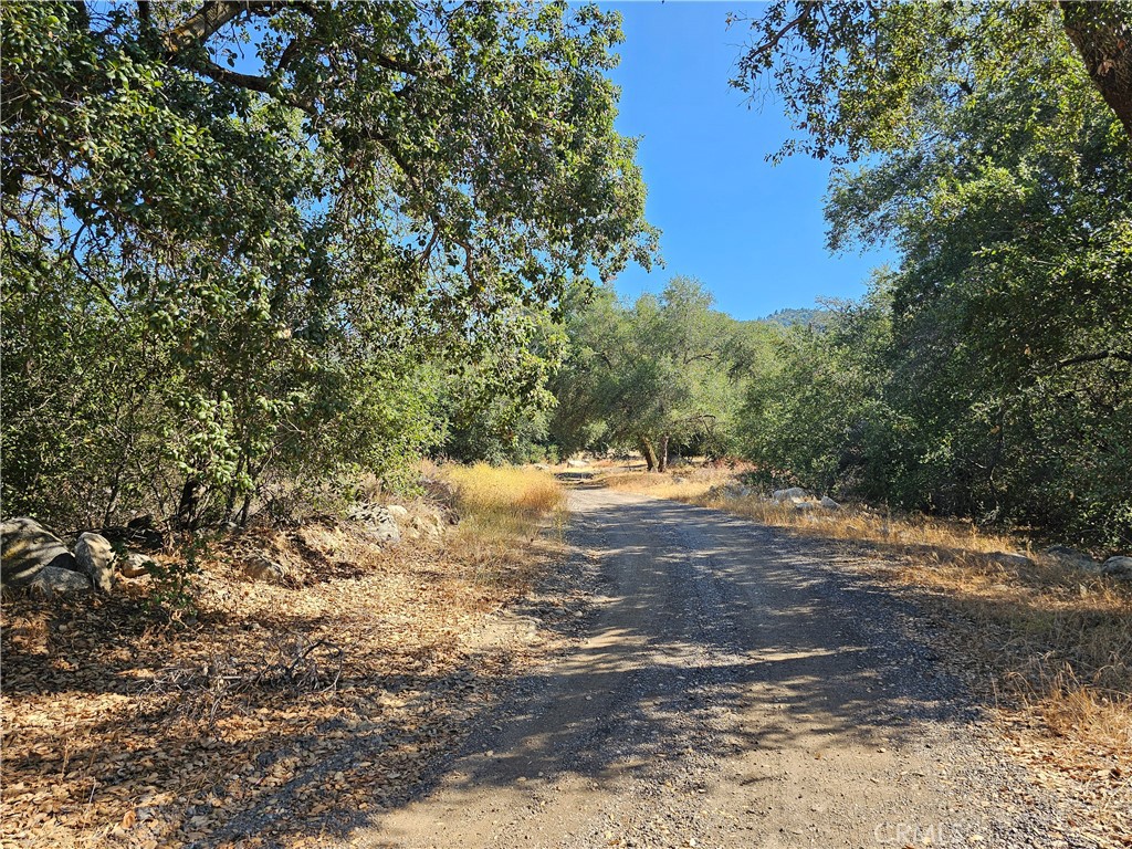 0 Highway 76 Property Photo 6