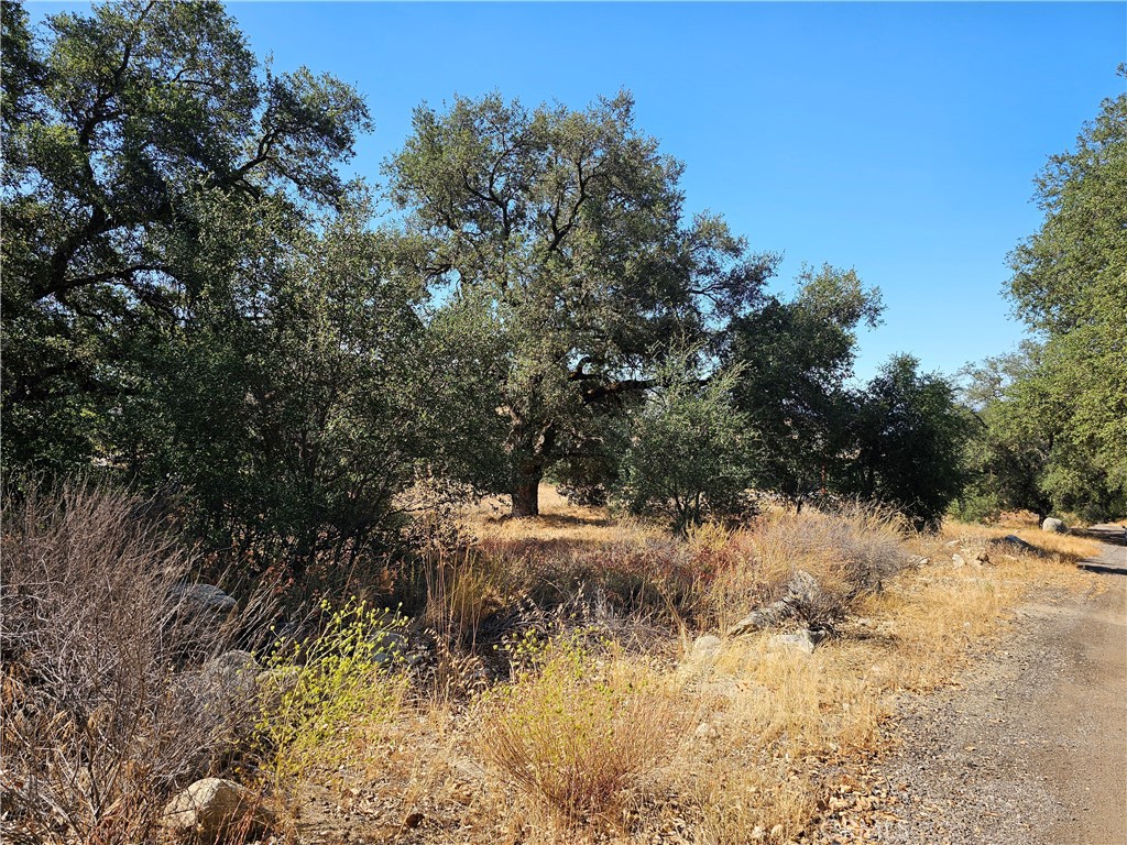 0 Highway 76 Property Photo 7