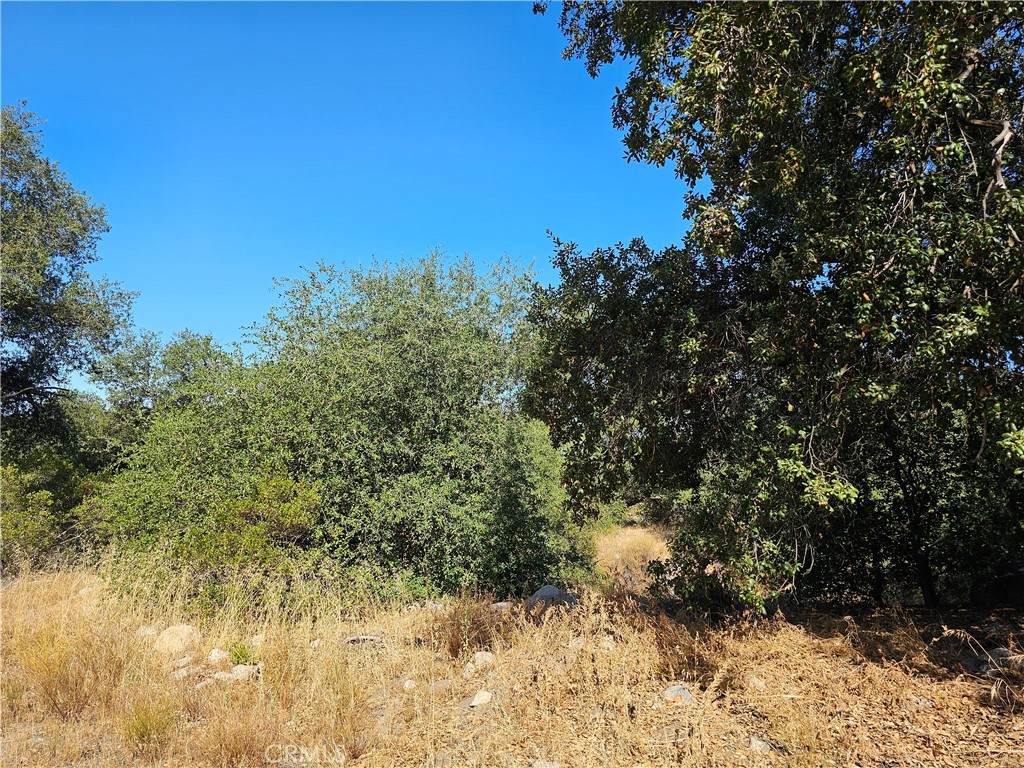 0 Highway 76 Property Photo 8