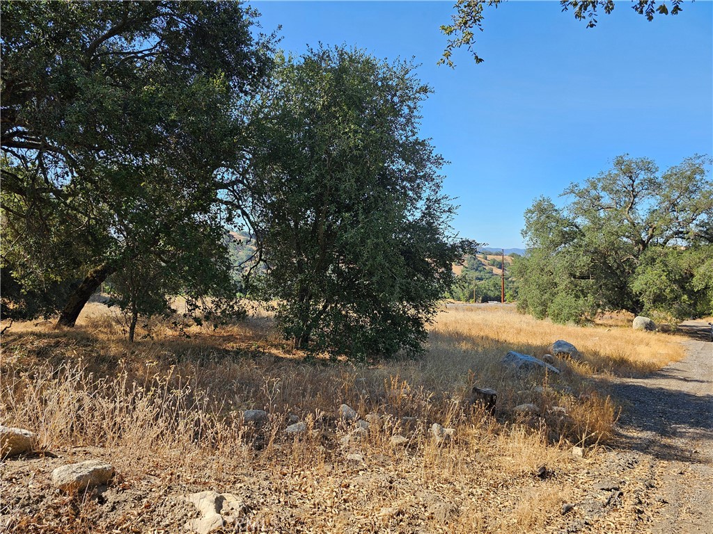 0 Highway 76 Property Photo 9